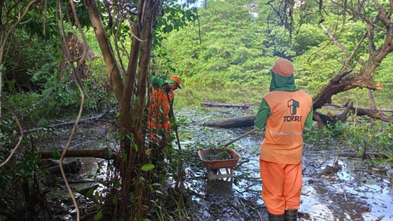 Prefeitura mantém limpeza constante nos mangues de Aracaju