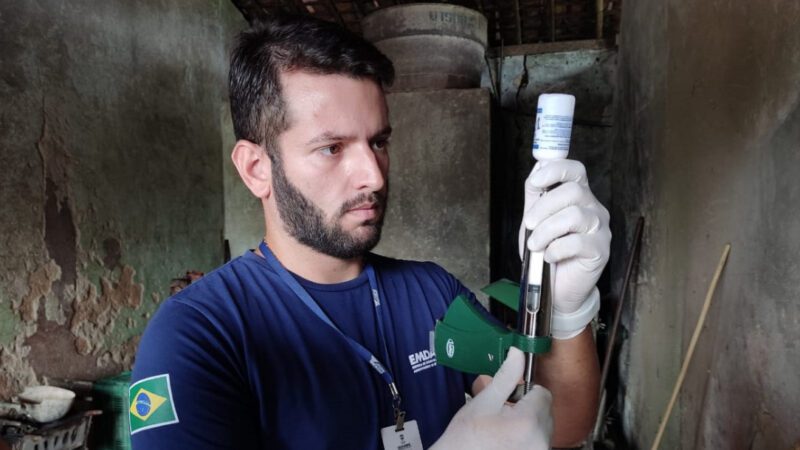 Sergipe alcança 90,6% do rebanho vacinado contra febre aftosa