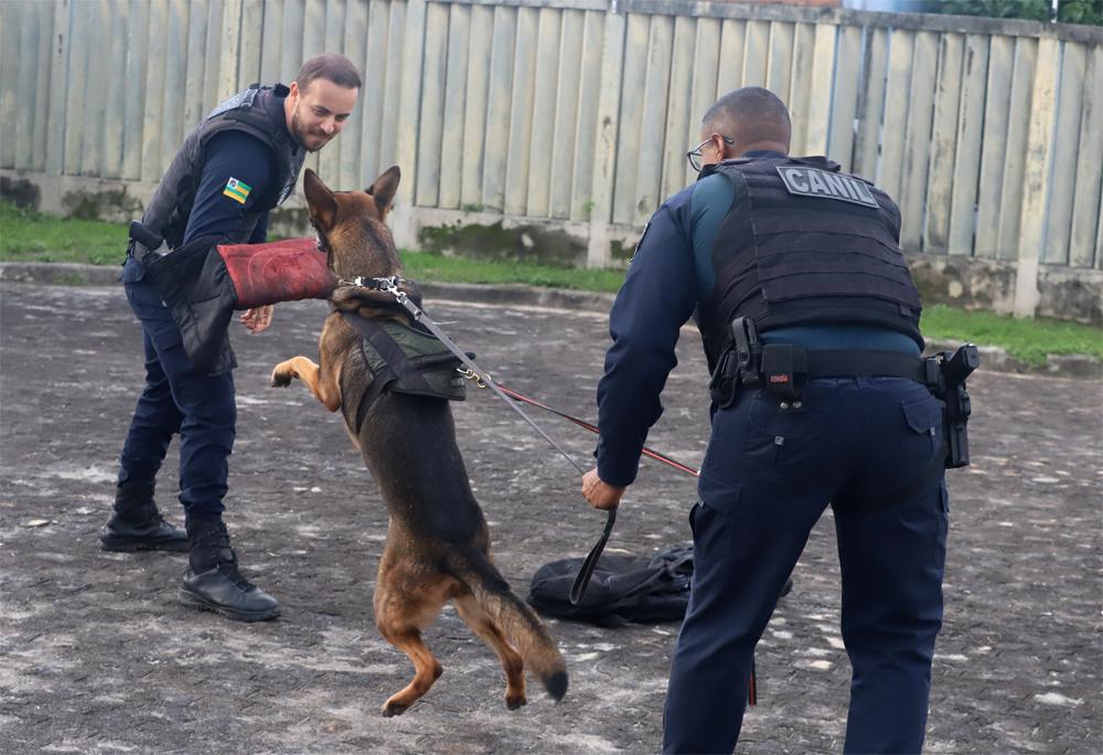 Forró Caju 2024: Guarda Municipal treina cães para auxiliar no patrulhamento durante os festejos