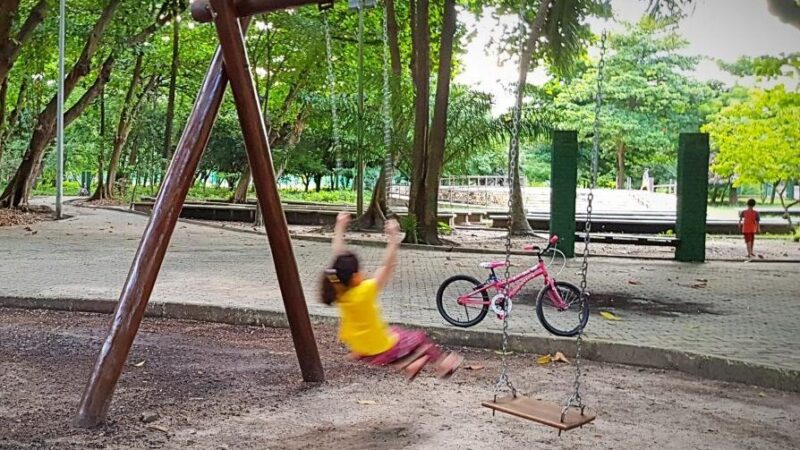 Instituição do Programa ‘Crescer Brincando’ é aprovada na Alese