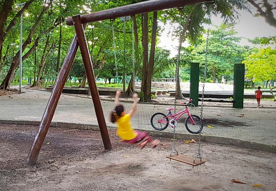 Instituição do Programa ‘Crescer Brincando’ é aprovada na Alese