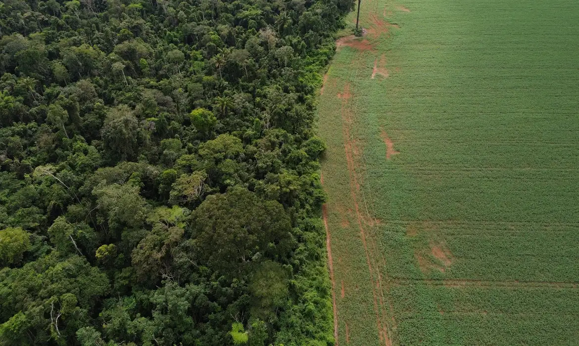 Lula e Guterres lideram diálogo sobre fundo de preservação das florestas tropicais em Nova York