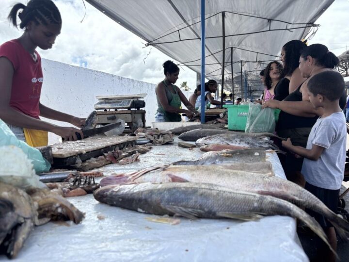 Feira de Pescados anima bairros de Aracaju e aquece vendas na Semana Santa