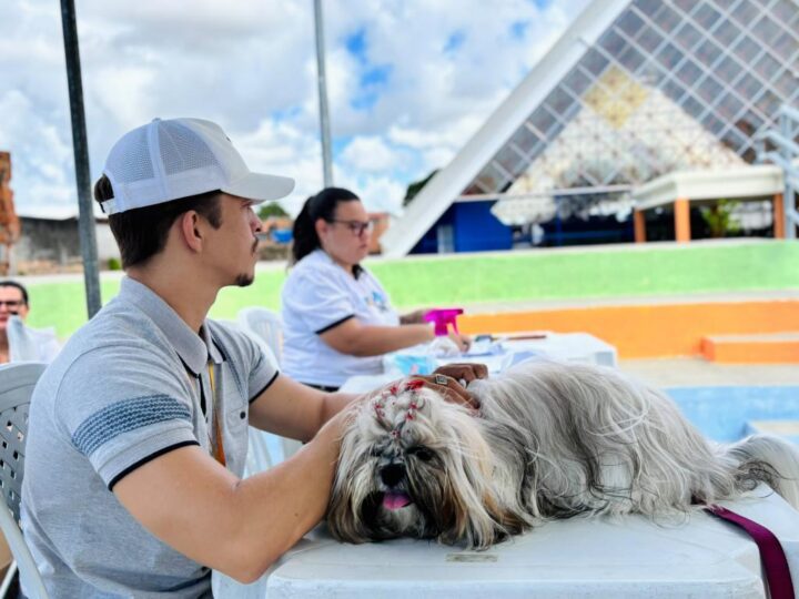 Prefeitura celebra um ano do Tamo Junto com foco em sustentabilidade e bem-estar animal
