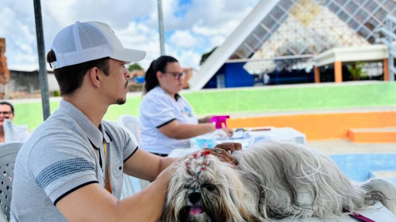 Prefeitura celebra um ano do Tamo Junto com foco em sustentabilidade e bem-estar animal